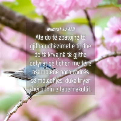 Picture 04 - Numrat 3:7 ALB - Ata do të zbatojnë të gjitha udhëzimet e tij - Bible Verse Picture