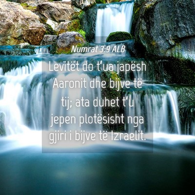 Picture 04 - Numrat 3:9 ALB - Levitët do t’ua japësh Aaronit dhe bijve të - Bible Verse Picture