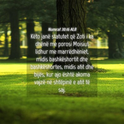 Picture 04 - Numrat 30:16 ALB - Këto janë statutet që Zoti i ka dhënë me - Bible Verse Picture