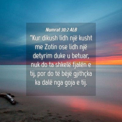 Picture 04 - Numrat 30:2 ALB - 
