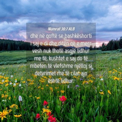 Picture 04 - Numrat 30:7 ALB - dhe në qoftë se bashkëshorti i saj e di dhe - Bible Verse Picture