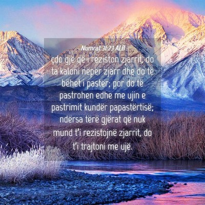 Picture 04 - Numrat 31:23 ALB - çdo gjë që i reziston zjarrit, do ta kaloni - Bible Verse Picture