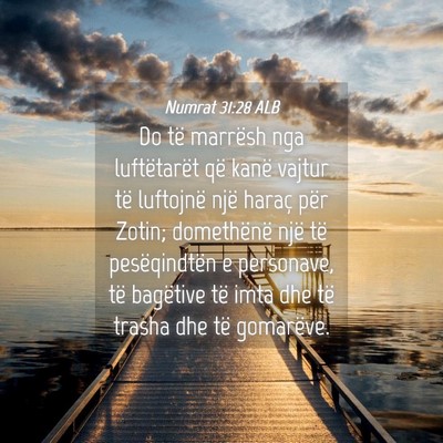 Picture 04 - Numrat 31:28 ALB - Do të marrësh nga luftëtarët që kanë vajtur - Bible Verse Picture