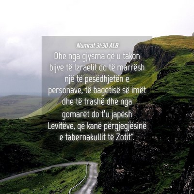 Picture 04 - Numrat 31:30 ALB - Dhe nga gjysma që u takon bijve të Izraelit do - Bible Verse Picture