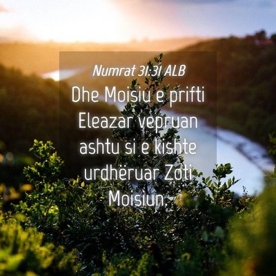 Picture 04 - Numrat 31:31 ALB - Dhe Moisiu e prifti Eleazar vepruan ashtu si e - Bible Verse Picture