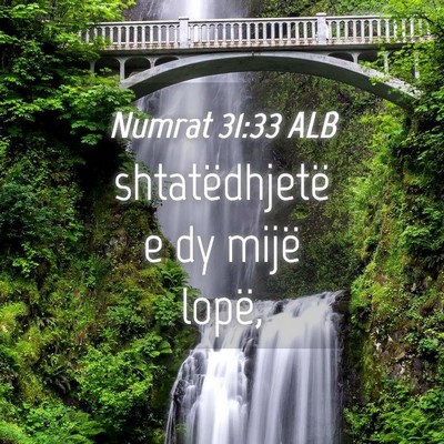 Picture 04 - Numrat 31:33 ALB - shtatëdhjetë e dy mijë - Bible Verse Picture