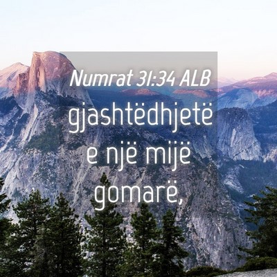 Picture 04 - Numrat 31:34 ALB - gjashtëdhjetë e një mijë - Bible Verse Picture