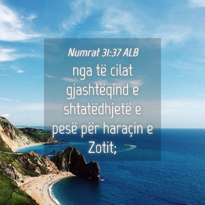 Picture 04 - Numrat 31:37 ALB - nga të cilat gjashtëqind e shtatëdhjetë e - Bible Verse Picture