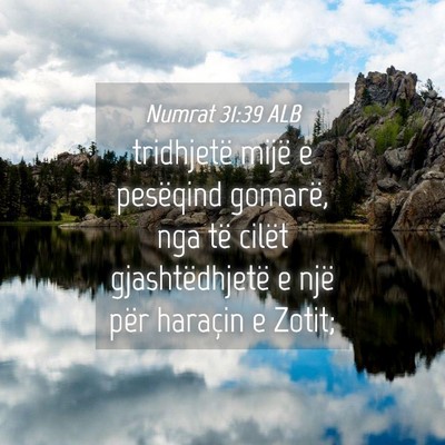 Picture 04 - Numrat 31:39 ALB - tridhjetë mijë e pesëqind gomarë, nga të - Bible Verse Picture