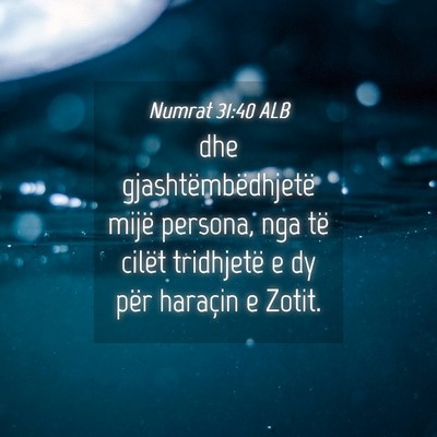 Picture 04 - Numrat 31:40 ALB - dhe gjashtëmbëdhjetë mijë persona, nga të - Bible Verse Picture