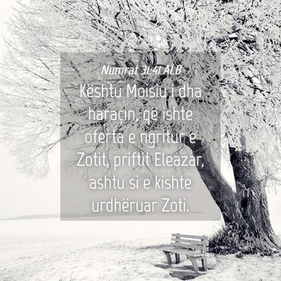 Picture 04 - Numrat 31:41 ALB - Kështu Moisiu i dha haraçin, që ishte oferta e - Bible Verse Picture