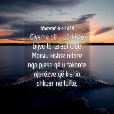 Picture 04 - Numrat 31:42 ALB - Gjysma që u përkiste bijve të Izraelit, që - Bible Verse Picture
