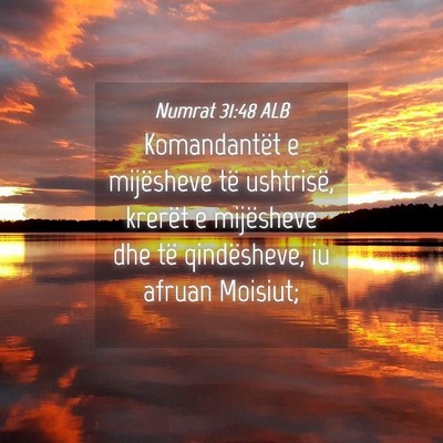 Picture 04 - Numrat 31:48 ALB - Komandantët e mijësheve të ushtrisë, krerët - Bible Verse Picture