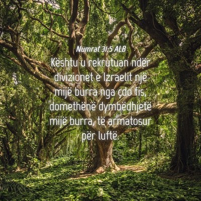Picture 04 - Numrat 31:5 ALB - Kështu u rekrutuan ndër divizionet e Izraelit - Bible Verse Picture