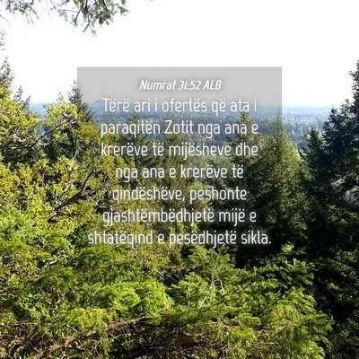 Picture 04 - Numrat 31:52 ALB - Tërë ari i ofertës që ata i paraqitën Zotit - Bible Verse Picture