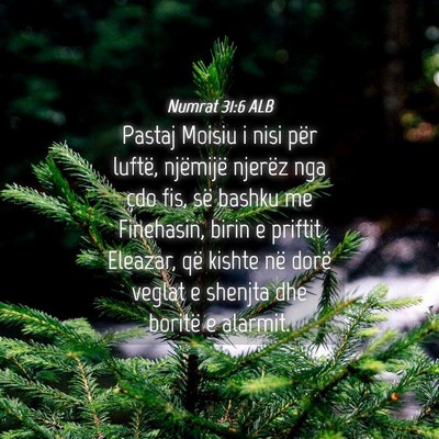 Picture 04 - Numrat 31:6 ALB - Pastaj Moisiu i nisi për luftë, njëmijë - Bible Verse Picture