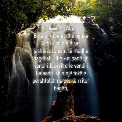 Picture 04 - Numrat 32:1 ALB - Bijtë e Rubenit dhe bijtë e Gadit kishin një - Bible Verse Picture
