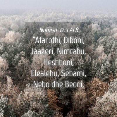 Picture 04 - Numrat 32:3 ALB - 