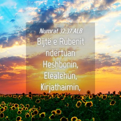 Picture 04 - Numrat 32:37 ALB - Bijtë e Rubenit ndërtuan Heshbonin, Elealehun, - Bible Verse Picture