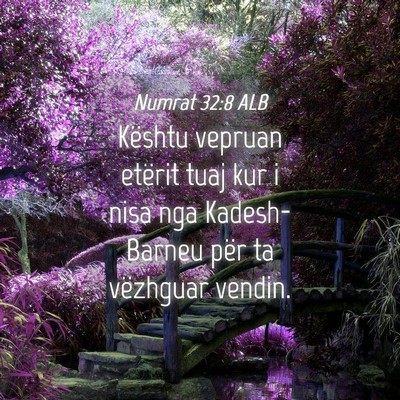 Picture 04 - Numrat 32:8 ALB - Kështu vepruan etërit tuaj kur i nisa nga - Bible Verse Picture