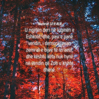 Picture 04 - Numrat 32:9 ALB - U ngjitën deri në luginën e Eshkolit; dhe, - Bible Verse Picture