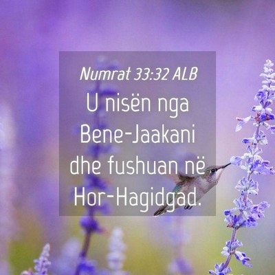 Picture 04 - Numrat 33:32 ALB - U nisën nga Bene-Jaakani dhe fushuan në - Bible Verse Picture