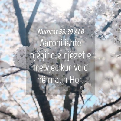 Picture 04 - Numrat 33:39 ALB - Aaroni ishte njëqind e njëzet e tre vjeç kur - Bible Verse Picture
