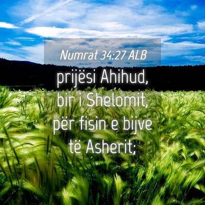 Picture 04 - Numrat 34:27 ALB - prijësi Ahihud, bir i Shelomit, për fisin e - Bible Verse Picture