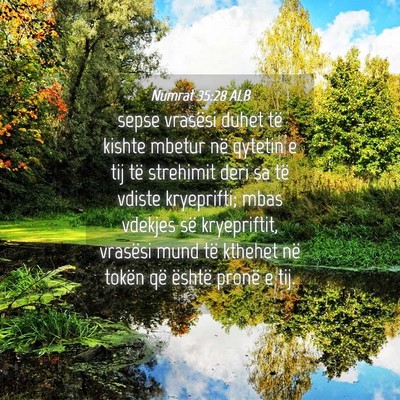 Picture 04 - Numrat 35:28 ALB - sepse vrasësi duhet të kishte mbetur në - Bible Verse Picture