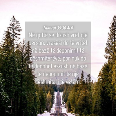 Picture 04 - Numrat 35:30 ALB - Në qoftë se dikush vret një person, vrasësi - Bible Verse Picture