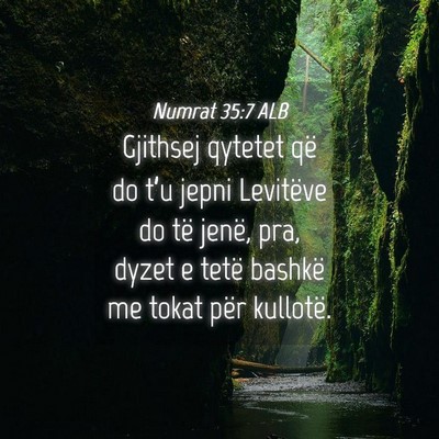 Picture 04 - Numrat 35:7 ALB - Gjithsej qytetet që do t’u jepni Levitëve do - Bible Verse Picture