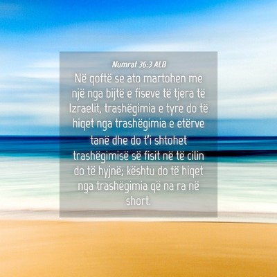 Picture 04 - Numrat 36:3 ALB - Në qoftë se ato martohen me një nga bijtë e - Bible Verse Picture
