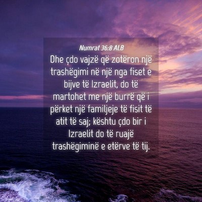 Picture 04 - Numrat 36:8 ALB - Dhe çdo vajzë që zotëron një trashëgimi në - Bible Verse Picture