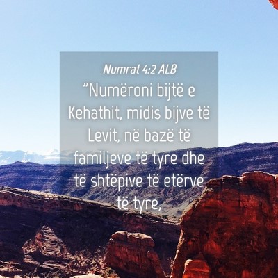 Picture 04 - Numrat 4:2 ALB - 