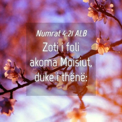 Picture 04 - Numrat 4:21 ALB - Zoti i foli akoma Moisiut, duke i - Bible Verse Picture