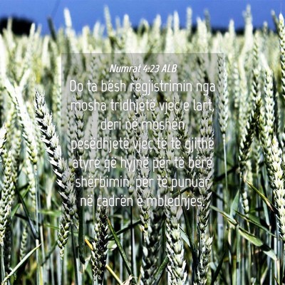 Picture 04 - Numrat 4:23 ALB - Do ta bësh regjistrimin nga mosha tridhjetë - Bible Verse Picture