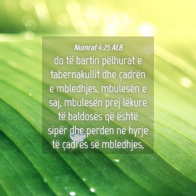 Picture 04 - Numrat 4:25 ALB - do të bartin pëlhurat e tabernakullit dhe - Bible Verse Picture