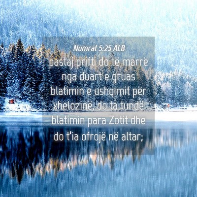 Picture 04 - Numrat 5:25 ALB - pastaj prifti do të marrë nga duart e gruas - Bible Verse Picture