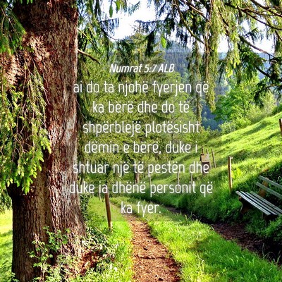Picture 04 - Numrat 5:7 ALB - ai do ta njohë fyerjen që ka bërë dhe do të - Bible Verse Picture