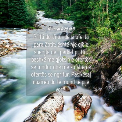 Picture 04 - Numrat 6:20 ALB - Prifti do t’i tundë si oferta para Zotit; - Bible Verse Picture