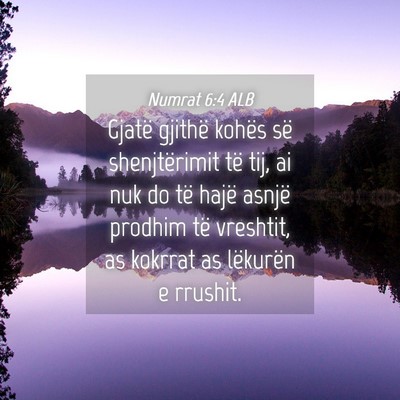 Picture 04 - Numrat 6:4 ALB - Gjatë gjithë kohës së shenjtërimit të tij, - Bible Verse Picture