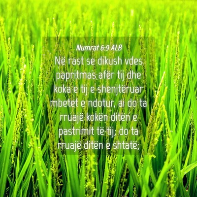 Picture 04 - Numrat 6:9 ALB - Në rast se dikush vdes papritmas afër tij dhe - Bible Verse Picture