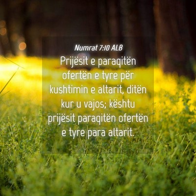 Picture 04 - Numrat 7:10 ALB - Prijësit e paraqitën ofertën e tyre për - Bible Verse Picture