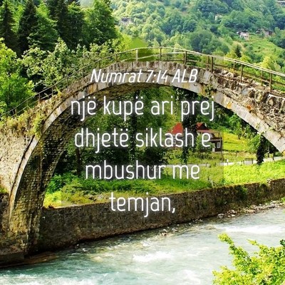 Picture 04 - Numrat 7:14 ALB - një kupë ari prej dhjetë siklash e mbushur me - Bible Verse Picture