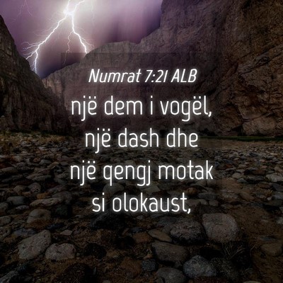 Picture 04 - Numrat 7:21 ALB - një dem i vogël, një dash dhe një qengj motak - Bible Verse Picture