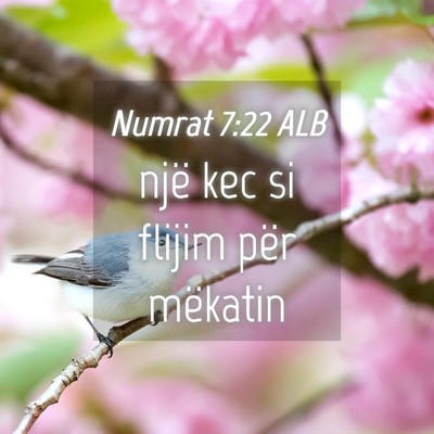 Picture 04 - Numrat 7:22 ALB - një kec si flijim për - Bible Verse Picture