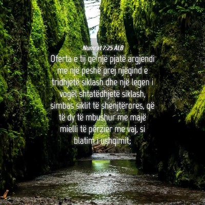 Picture 04 - Numrat 7:25 ALB - Oferta e tij qe një pjatë argjendi me një - Bible Verse Picture
