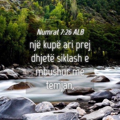 Picture 04 - Numrat 7:26 ALB - një kupë ari prej dhjetë siklash e mbushur me - Bible Verse Picture