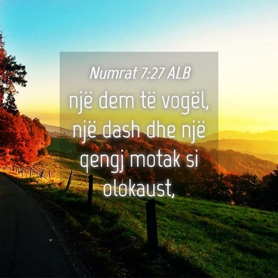 Picture 04 - Numrat 7:27 ALB - një dem të vogël, një dash dhe një qengj - Bible Verse Picture