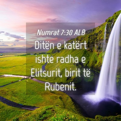 Picture 04 - Numrat 7:30 ALB - Ditën e katërt ishte radha e Elitsurit, birit - Bible Verse Picture